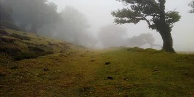 快手案例4